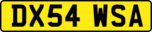 DX54WSA