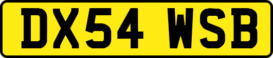 DX54WSB