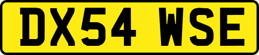 DX54WSE