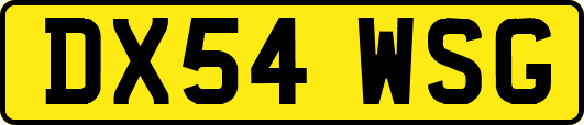 DX54WSG