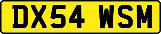 DX54WSM