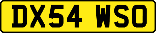 DX54WSO