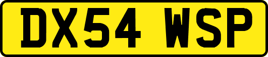 DX54WSP