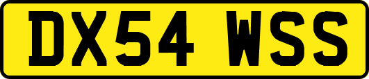 DX54WSS