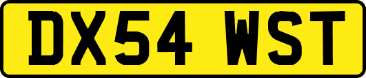 DX54WST