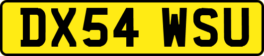 DX54WSU