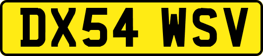 DX54WSV