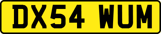DX54WUM