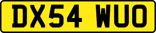 DX54WUO