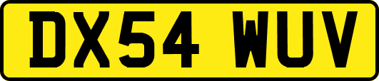 DX54WUV