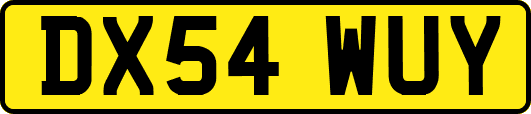DX54WUY