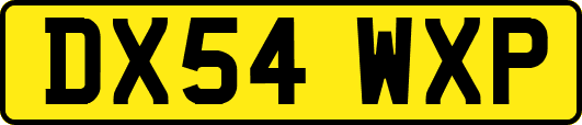 DX54WXP