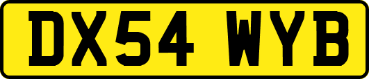 DX54WYB