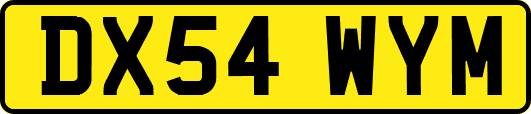 DX54WYM
