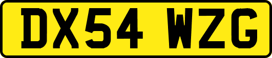 DX54WZG