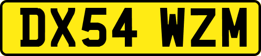 DX54WZM