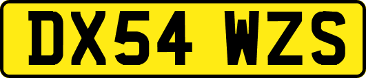 DX54WZS