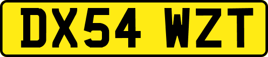 DX54WZT