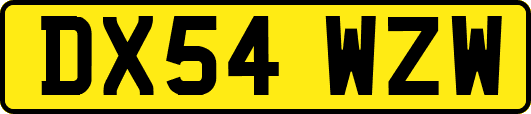 DX54WZW