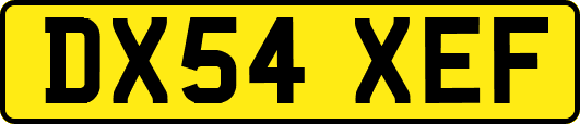 DX54XEF