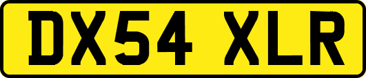 DX54XLR