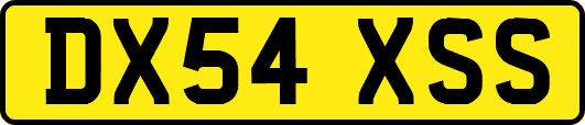 DX54XSS