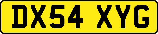 DX54XYG