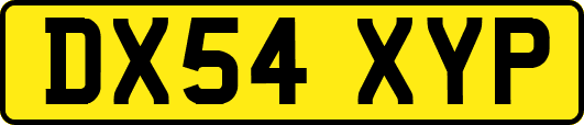 DX54XYP