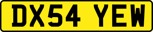 DX54YEW