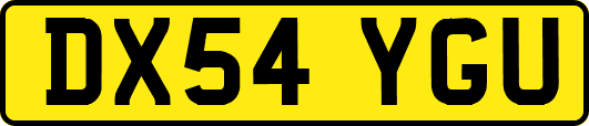 DX54YGU