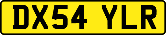 DX54YLR