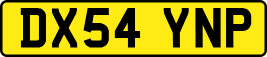 DX54YNP