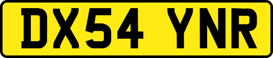 DX54YNR