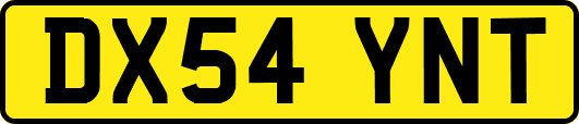 DX54YNT