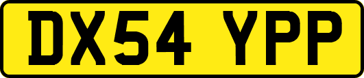DX54YPP