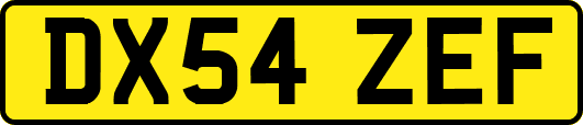 DX54ZEF