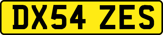 DX54ZES