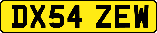 DX54ZEW