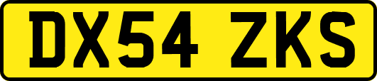 DX54ZKS