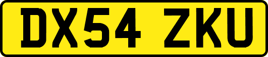 DX54ZKU