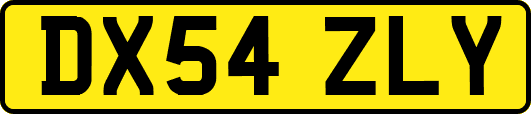 DX54ZLY