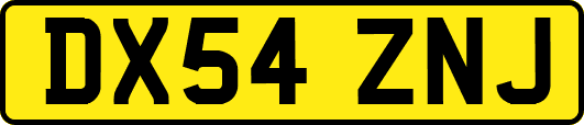 DX54ZNJ