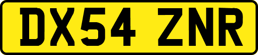 DX54ZNR