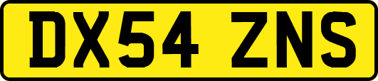 DX54ZNS