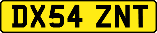 DX54ZNT