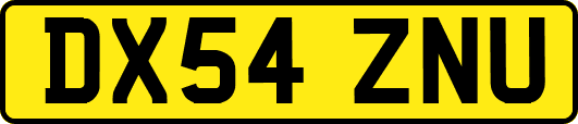 DX54ZNU