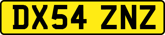 DX54ZNZ