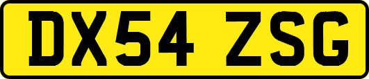 DX54ZSG