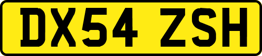 DX54ZSH