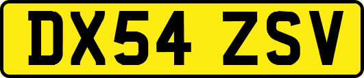 DX54ZSV